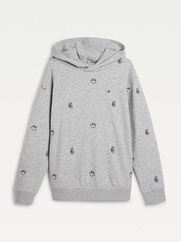 Fiú Tommy Hilfiger Organic Pamut Smiles Hoodies Szürke | HU 2117ILH